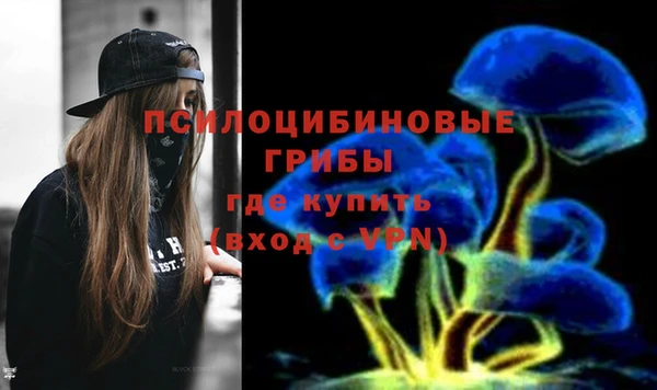 дурь Белоозёрский