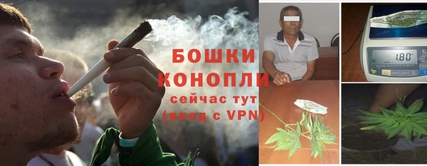 метадон Белокуриха