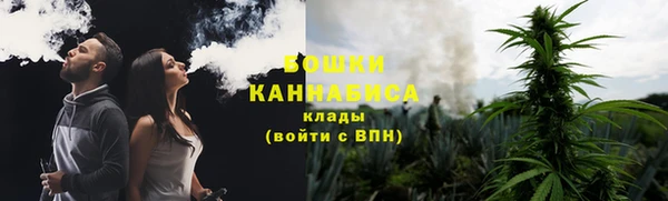 дурь Белоозёрский