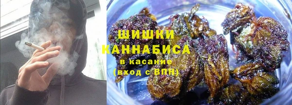 метадон Белокуриха