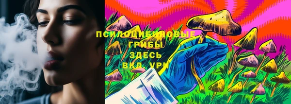 дурь Белоозёрский