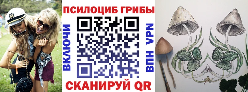 кракен зеркало где найти наркотики Славгород Псилоцибиновые грибы прущие грибы