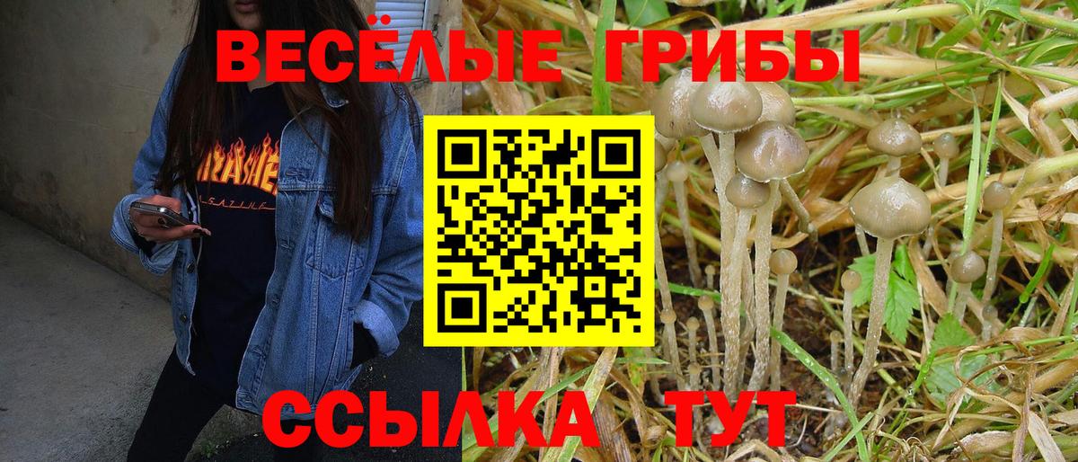 Псилоцибиновые грибы Cubensis  Вход с VPN  Славгород 