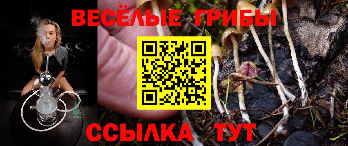 Псилоцибиновые грибы мицелий  Вход с VPN  Славгород  Галлюциногенные грибы ЛСД 