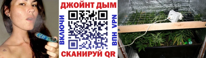 кракен рабочий сайт  Славгород  Канабис сатива 