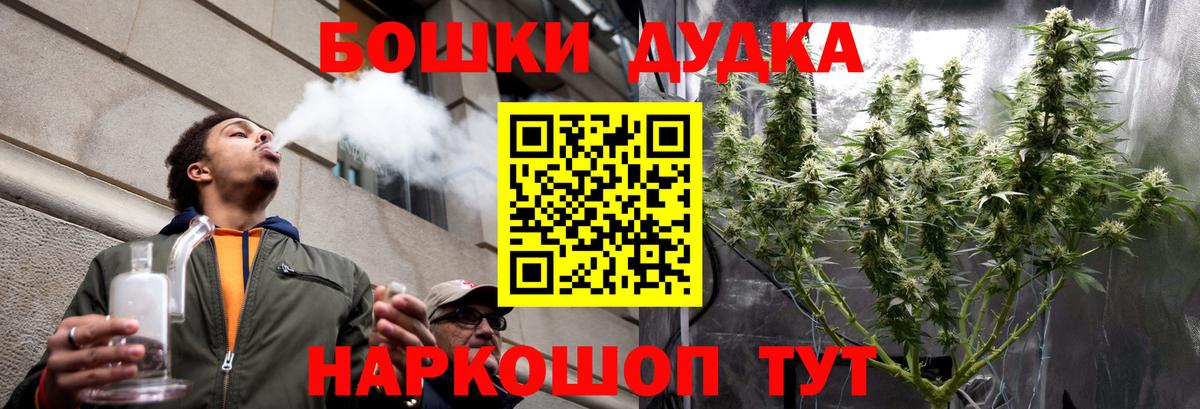 Славгород  Бошки Шишки SATIVA & INDICA  Канабис сатива  Бошки марихуана THC 21%  Бошки марихуана VHQ  Вход с VPN 